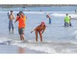 Swim Instructor