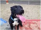 2007 WINNEBAGO VIEW 23H