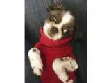 laborerhelper
