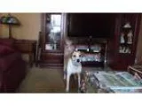 Housekeeper - Courtyard Detroit Metro Airport Romulus (16000RVR)