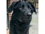 Direct Loan From Bella Tucker Loan Company
