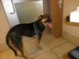 QuickBooks TLS 1.2 Error  Support  18008961971