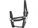 Perris Track Style Leather Turnout Halter with Snap Black