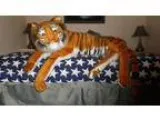 60&quot Bengal stuffed tiger or swap for . (Champions Gate)