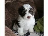Sale Pending