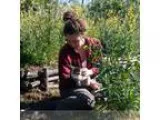 Housegardenpet sitter available