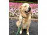 LOOKING for a HOME in the next 3-6 Months