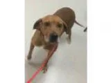 Us Inbound Tech support process with Direct End Client Signup.