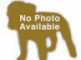 Braids Extensions and Weaves - Licensed hair braider