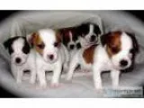 Best Motor Insurance Company In India
