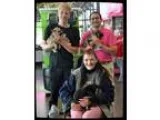 Adopt Puppies a Black - with Tan Yellow or Fawn Shepherd (Unknow