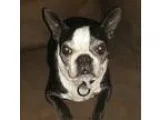 HOME IMPROVEMENTS