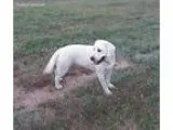 Dakota s Bab