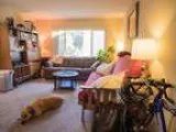 One bedroom in a bdba apartment in Menlo Park with a dog