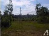 Rainbow City AL Etowah Country Land 5.3400 acre