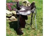Brown 185 Tucker saddle for sale