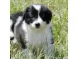 Sale Pending