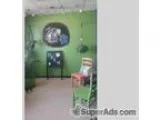 Muttley Crew-New Dog Grooming Salon