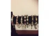 Bengal Kittens (Ready Now) - Price: 300.00