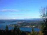 18500 Se 65th Place Issaquah WA 98027