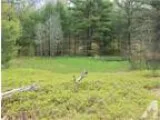 Twin Lake MI Muskegon Country Land 80.000000 acre