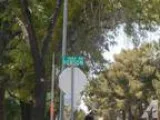 Public Trustee Foreclosure Auction Tuesday June 9