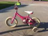 Giant Puddin Bike
