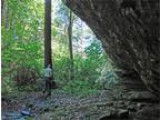 767.700000 acres of land for sale in Lenoir North Carolina Unite