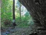 767.700000 acres of land for sale in Lenoir North Carolina Unite