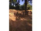 Free Firewood (Edmond OK)
