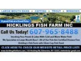 Hickling s Fish Farm Inc