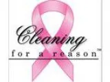 Eco-Friendly Cleaning Services