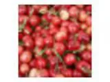 Issaquah Farmers  Market Recipe Swap