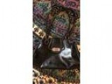 Leather Purses