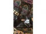 Leather Purses