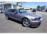 2007 Ford Shelby GT500