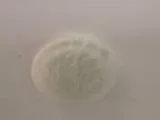 Oyster Ceiling Lights