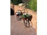 Garden bike old rusty converted to display pot plants