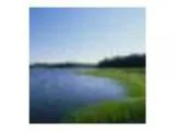 Wild and Scenic Taunton River