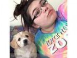 Experience with all pets big and small I can work anytime.