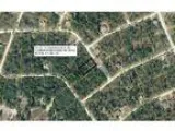 0.459137 acres of land for sale in Brooksville Florida United St