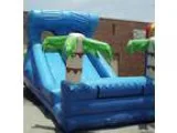 Atlanta 15  High Paradise Surf Dual Water Slide For Rent for Ren