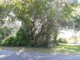 Lot C Division Street