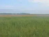 Residential Lots and Land