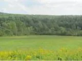 Greene Scenic rural 5 acre building lot with room for pets