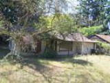 Investor Opportunity