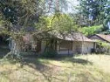 Investor Opportunity