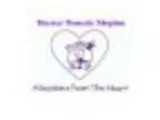 Discover Domestic Adoption