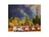 Mid-Coast Fire Brigade Fundraiser at The Wine Experience