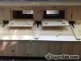 Custom built chicken coops